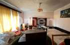 Casa renovabila, cu 6 ari de teren, zona linistita, Baia Sprie - 8