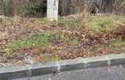 Sinaia - Furnica Urgent - Teren 1200 mp - 4