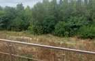 Apartament cu 2 camere decomandat în Băneasa - 8
