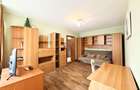 Apartament in Fizicienilor - Camil Ressu - 6