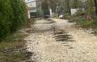 Teren Ciolpani Piscu langa Lac Scrovistea Zona Snagov - 3