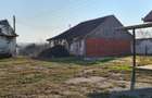 Casa 350 mp + 45 ari teren dublu front Ratesti - 6