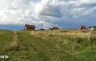 884 mp - teren intravilan pentru casa in Sibiu zona Dealul Sibiului. - 8