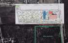 Teren Padure de l Otopeni-Petresti - 4