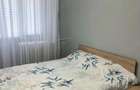 Apartament 3 camere Colentina Doamna Ghica - 3