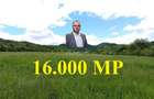 Borlovenii Noi, Teren Drept, 16000mp, la Limita Localitatii - 11