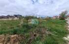 Vanzare teren Cristian - 4