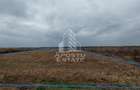 Teren Construcții intravilan de 2000 mp, în Zădăreni - 6