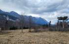 Teren 622 mp  in Sinaia - Zamora, priveliste peisagistică spre Bucegi! - 1