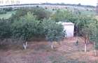 Casa de vanzare 140m2 utili+teren 1000 M2 - 3