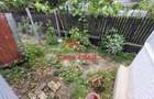 Casa in Calinesti Ph 4 camere teren 4997mp 50.000e - 6