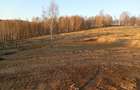 Teren de 2000 mp, în Bulz - 2