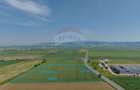 Teren Construcții de 40000 mp, în Nord - 1
