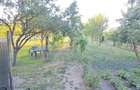 Vand casa com. Banloc - 2