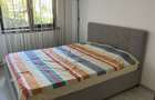 Apartament de inchiriat Euromaterna - 3
