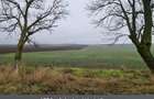 Teren agricol jud. Cpnstanta - 1