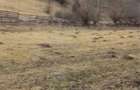 Teren intravilan de vanzare Scrind, com. Margau - 1