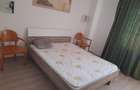 Apartament cu 2 camere decomandat în Pietroasa - 8