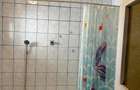 Apartament cu 3 camere decomandat în Rahova - 8
