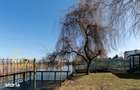 Vila spectaculoasa cu deschidere la lac Snagov | Piscina | Teren tenis - 11