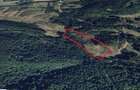 Teren 1.76 HA cu Sura/Constructie Lemn Risculita, HD - 2