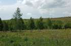 Teren intravilan de 900 mp, în Casele Micești - 10
