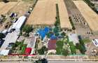 Casă cu 3 camere cu Teren 2500 Mp în Cataloi - 11