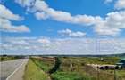 Teren extravilan de 6200 mp, în Șcheia - 1