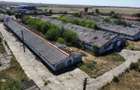 Spațiu industrial -fermă Orțișoara - 13