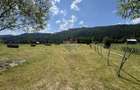 De vanzare | Teren intravilan 2802mp | Sabasa | Borca | Neamt