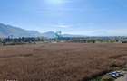 Inchiriem Apartament 2 Camere, Modern, Decomandat, Avantgarden 3 - 4