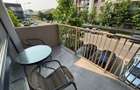Apartament de inchiriat cu 2 camere in Prima Universitatii - 8