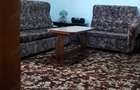 Apartament cu 2 camere semidecomandat în Lugoj - 4