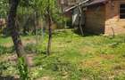 Casa de inchiriat central Iasi - 6