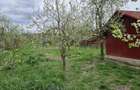 Intravilan la DJ Glambocelu-Bogati, accept si schimburi - 9
