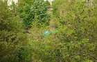 Ocazie unica! Proprietar vand urgent apartament 3 camere vis-a-vis de Shopping City. Negociabil!! - 8