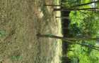 vind teren intravilan ,,URGENT'' - 2