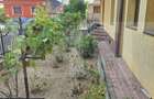Casa de vanzare, 395 mp, zona Cotu Mic - 5