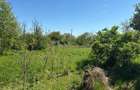 Teren de 2000 mp, în Văcăreasca - 3
