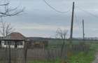 Teren Frumu?ani - direct proprietar 10000mp. - 1