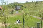 Teren intravilan 1696 mp, central, Salicea! - 1