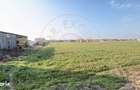 Casa 4 camere, Teren 2.948 mp Tiream SM - Comision 0% cumparator - 5