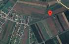 Vand teren intravilan, parcela patrata, 800m2 - 1
