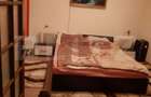De vanzare casa 99 mp, teren 7,5 ari in Lazuri, Satu Mare - 1