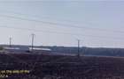 Vand teren padurea Bucovat - 9 km de Craiova - cu deschidere de 350m la drum judetean - 6