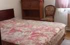 Apartament 2 camere Craiovei, mobilat - 8