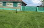 Vand casa cu gradina - 6