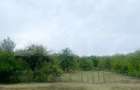 Casă individuală cu 4 camere cu Teren 9000 Mp în Exterior Nord - 16