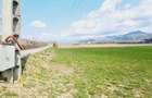 Teren intravilan 8906 mp, Dofteana - 5