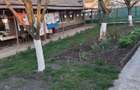 Casă cu Teren 2500 Mp în Otelec - 5